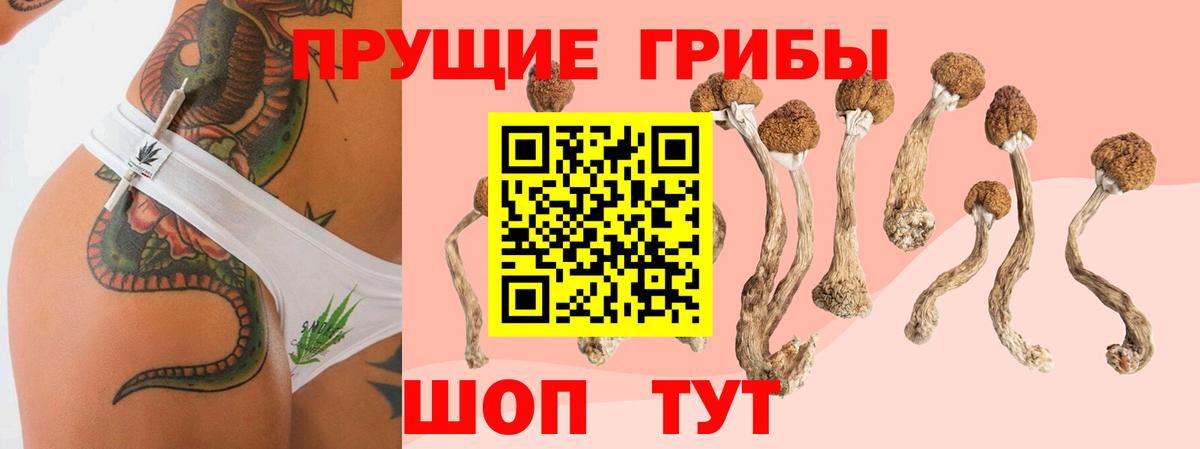наркошоп  Псилоцибиновые грибы GOLDEN TEACHER  Галлюциногенные грибы ЛСД  Вход с VPN  Мелеуз 