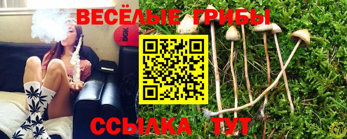 Галлюциногенные грибы MAGIC MUSHROOMS Мелеуз